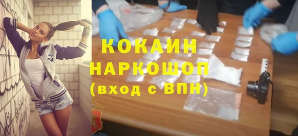 трава Пересвет
