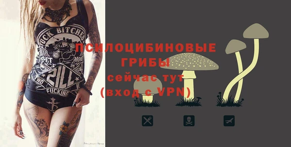 прущая мука Пестово