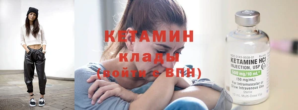 трава Пересвет