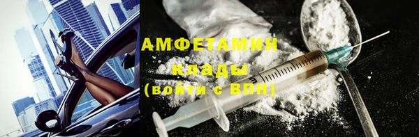 трава Пересвет