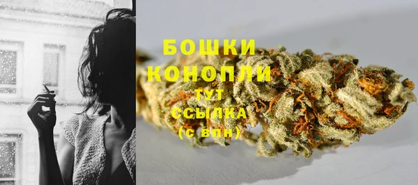 трава Пересвет