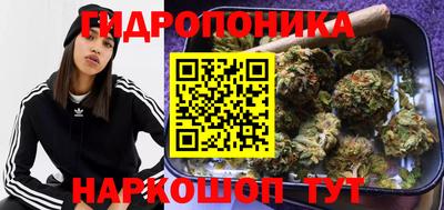 гашик Балашиха