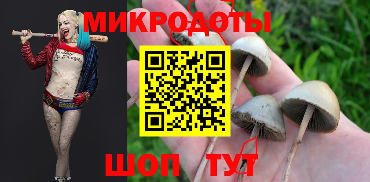 Псилоцибиновые грибы ЛСД Боровичи